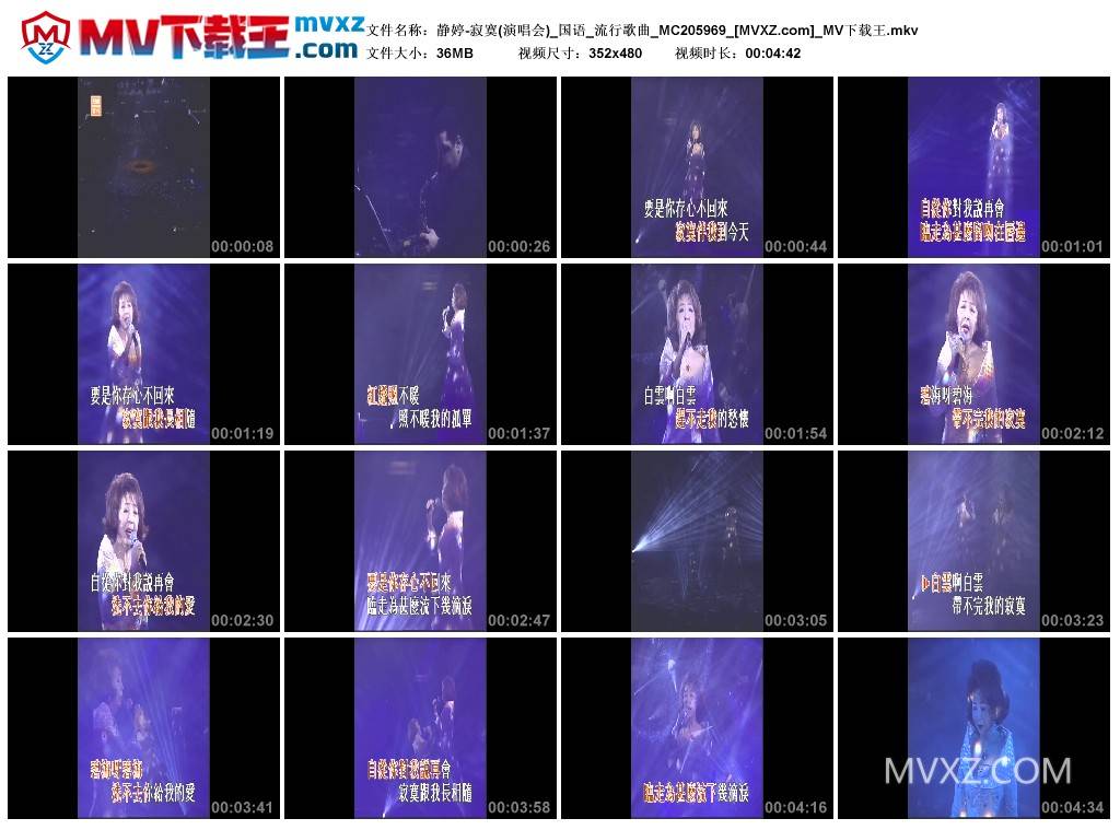 静婷-寂寞(演唱会)_国语_流行歌曲_MC205969